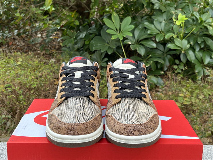 Nike Dunk Low Premium CO.JP Brown Snakeskin FJ5434-120