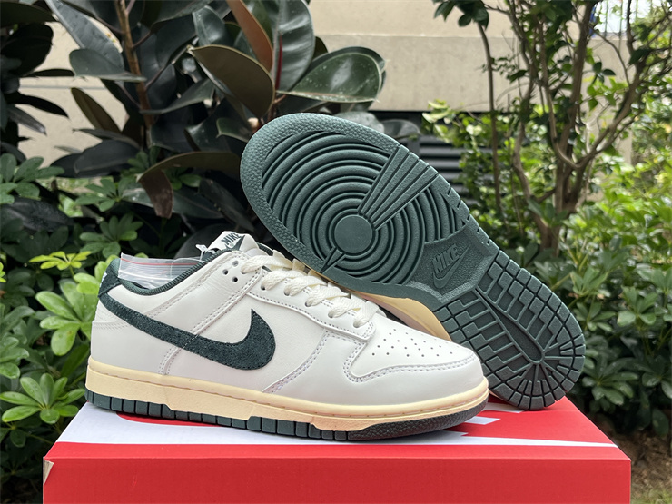 Nike Dunk Low  Athletic Department DQ8080-133