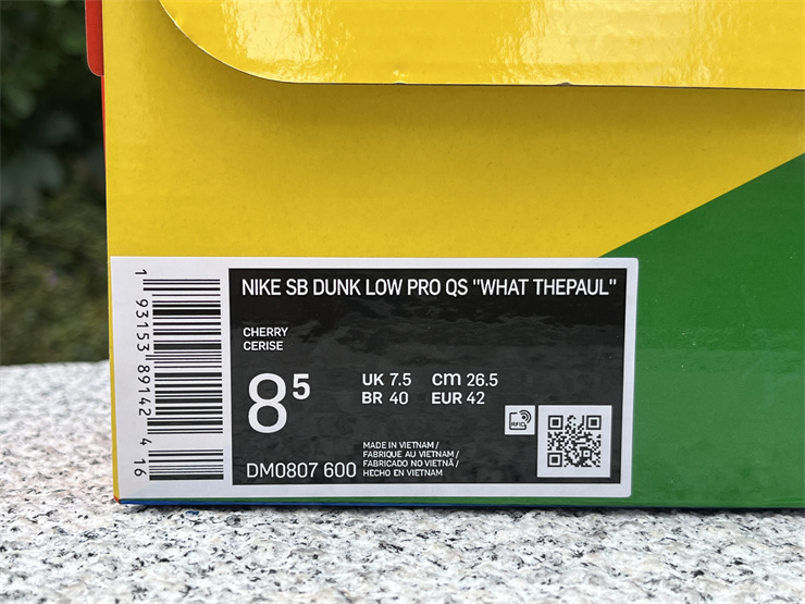 Nike SB Dunk Low DM0807-600