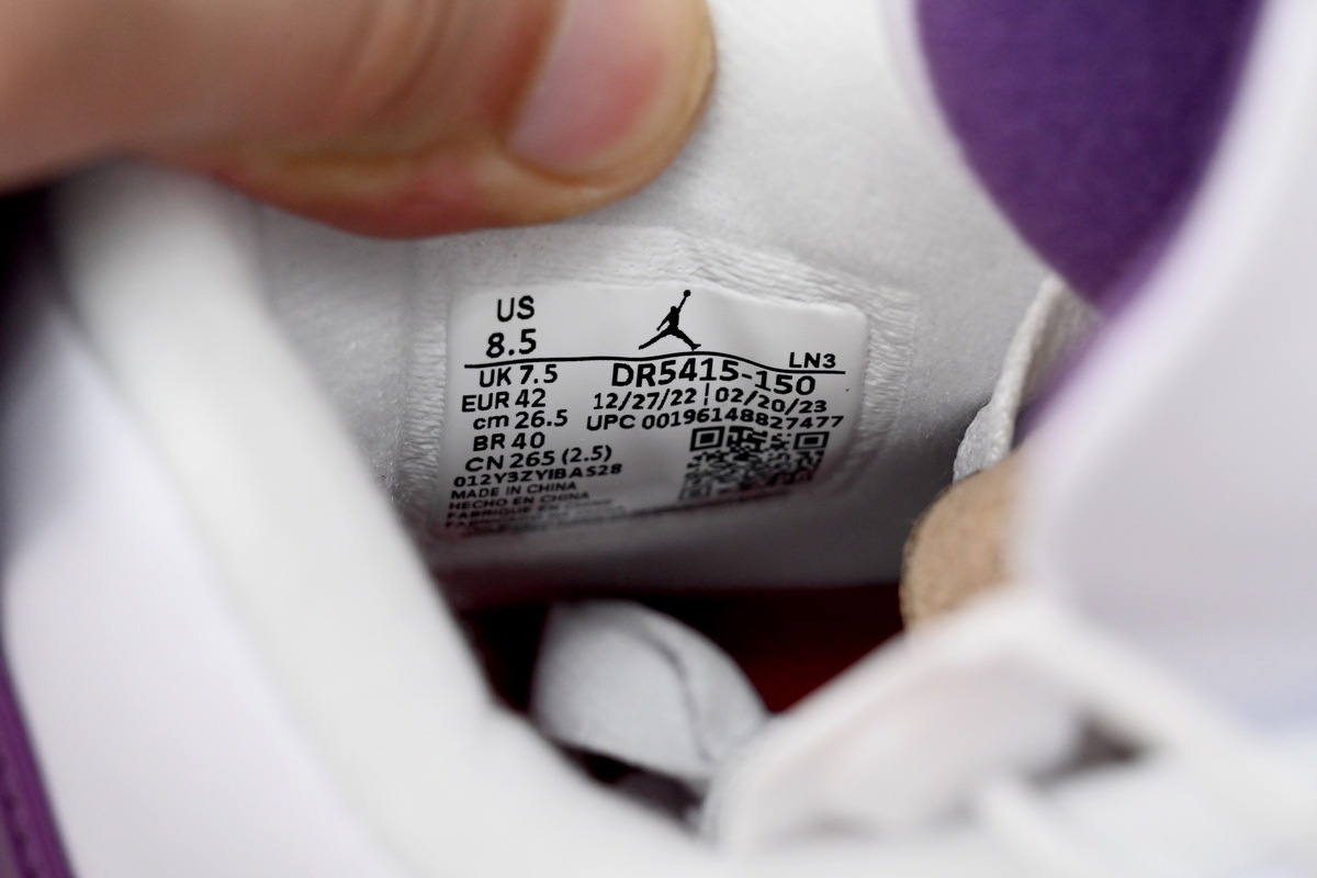 Nike SB x Air Jordan 4 PAICU DR5415-150