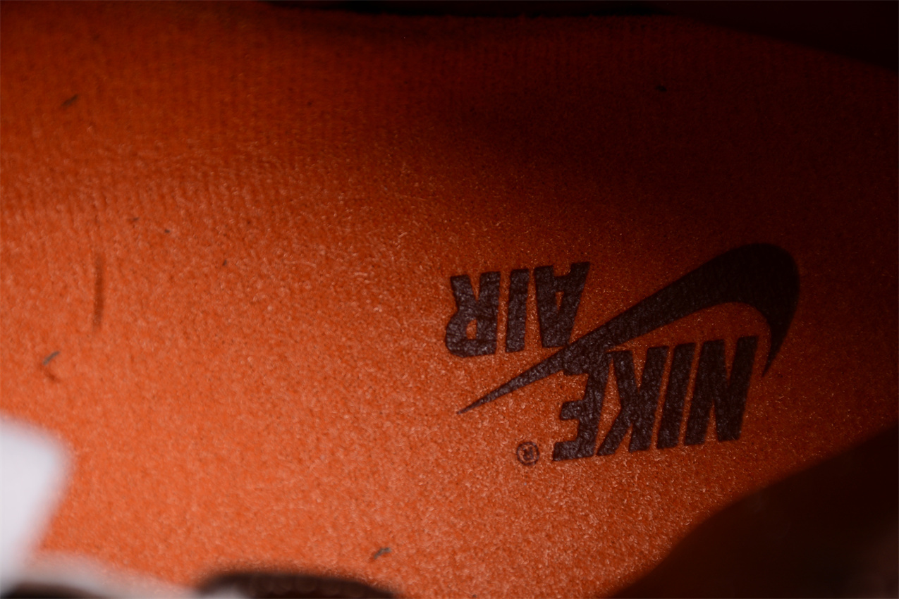 Jordan 1 Retro High OG SP Dusted Clay (Women