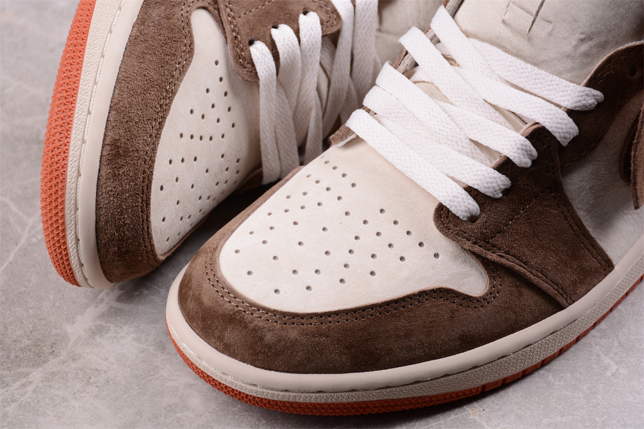 Jordan 1 Retro High OG SP Dusted Clay (Women