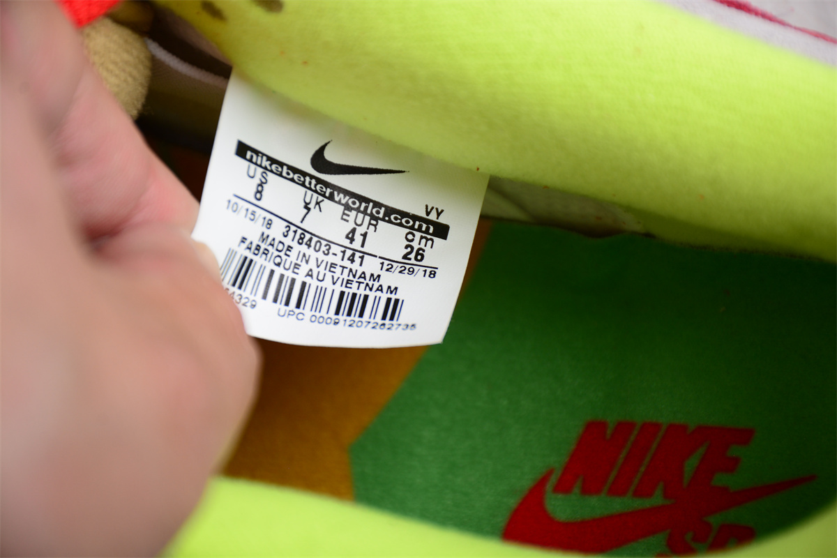 Nike SB Dunk LowWhat the Dunk 318403-141