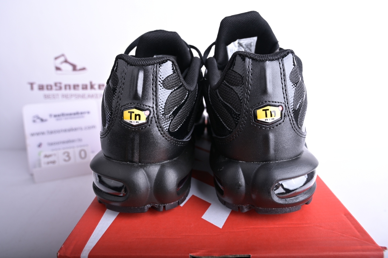 Nike Air Max Plus Triple Black  604133-050