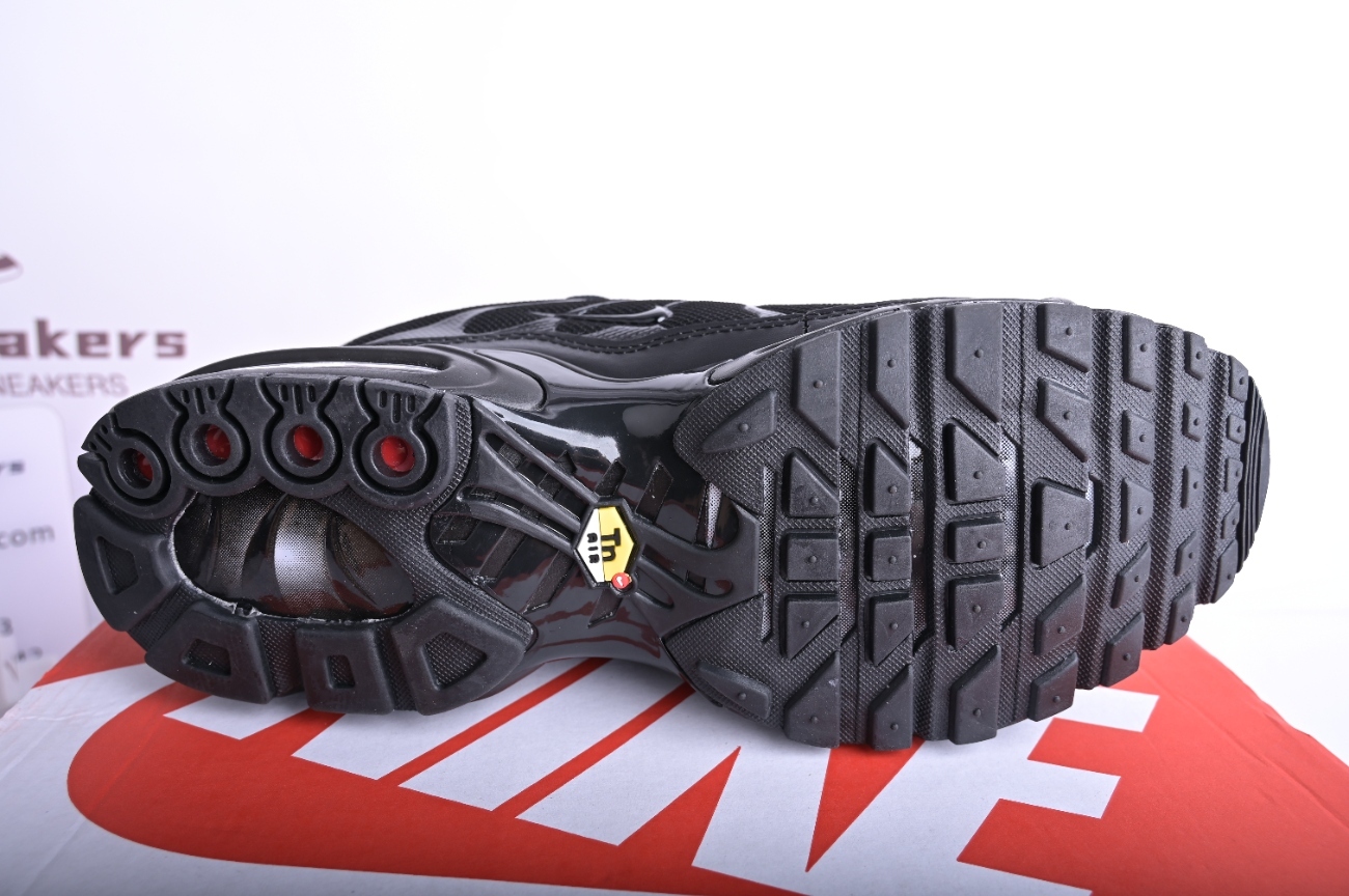 Nike Air Max Plus Triple Black  604133-050