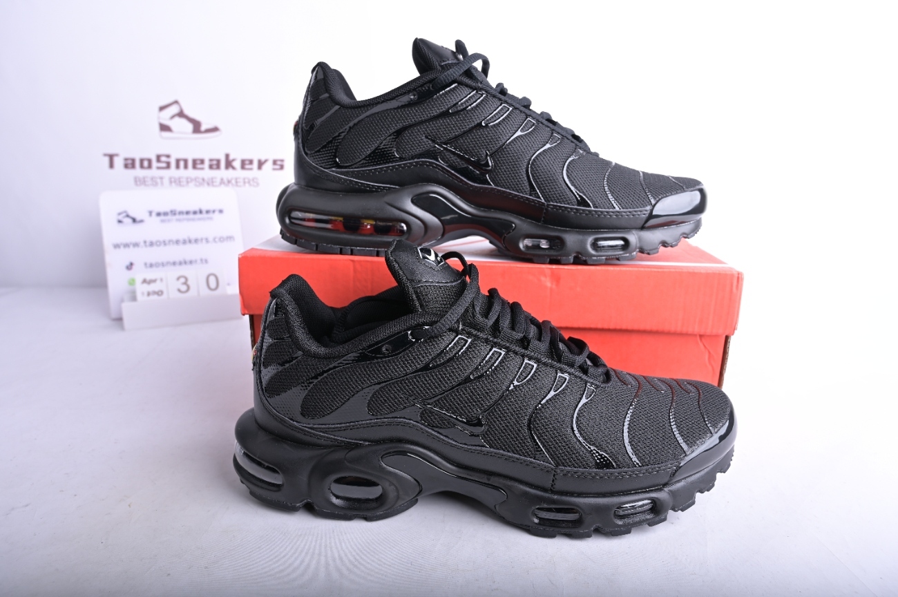 Nike Air Max Plus Triple Black  604133-050