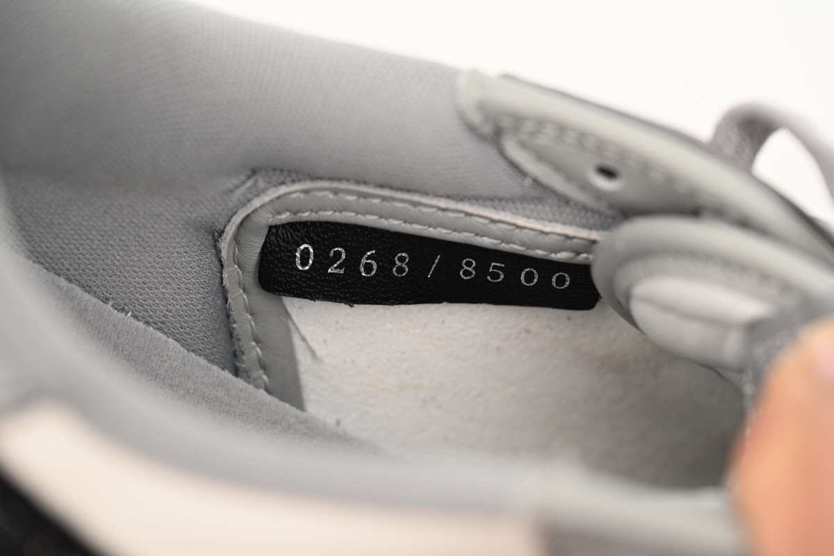 Jordan 1 Retro Low Dior CN8608-002