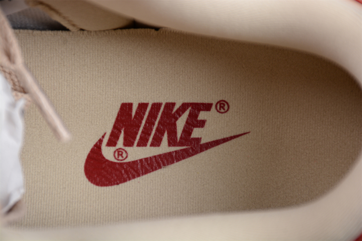 Nike Dunk Low WMNS “Terry Swoosh DZ4706-200