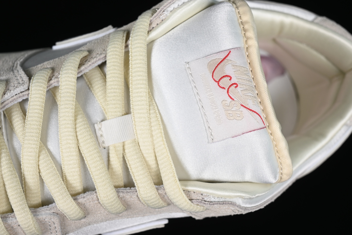 Dunk Low FZ5654-100