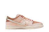 Nike SB Dunk Low  FV5926-200