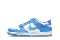 Nike Dunk Low UNC (GS)  CW1590-103