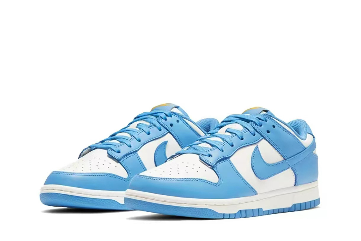 Nike Dunk Low Coast (Women