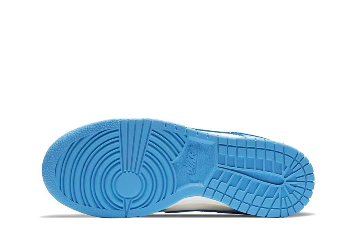 Nike Dunk Low Coast (Women