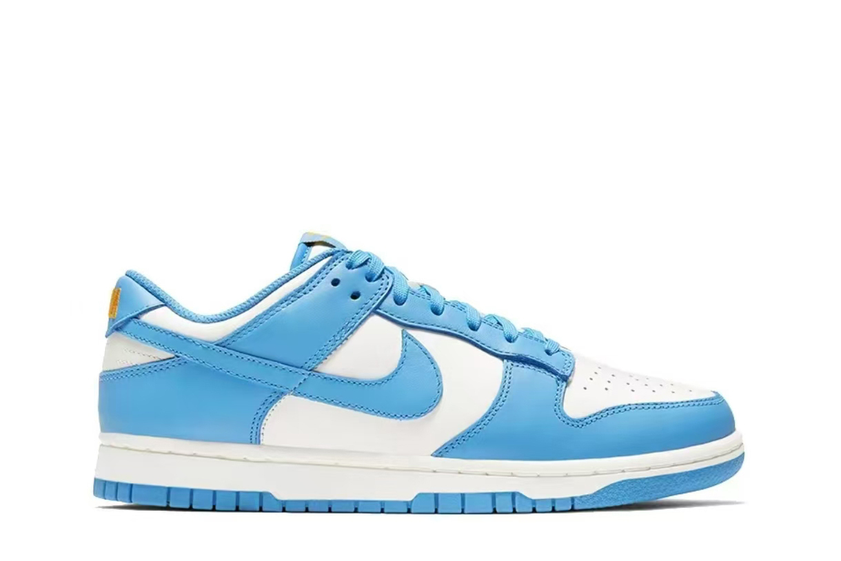 Nike Dunk Low Coast (Women