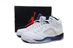 Air Jordan 5 Retro 