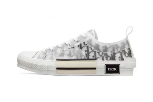 Di*r  B23 Low Top Logo Oblique 3SN249YJP_H069