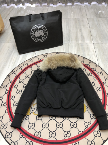 Canada Goose