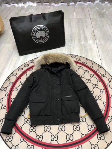 Canada Goose