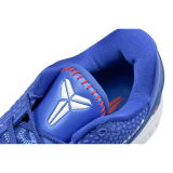 Nike Kobe 6 Protro Dodgers CW2190-400