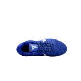 Nike Kobe 6 Protro Dodgers CW2190-400