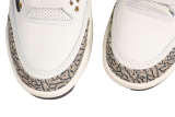 Travis Scott x Air Jordan 3 Retro Hide and Sneak 136064-168