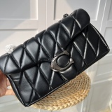 COACH Bag 26