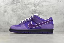 Concepts x NK SB Dunk Low BV1013-555