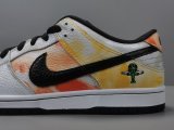 Nike Dunk low Pro SB Raygun White 304292-802