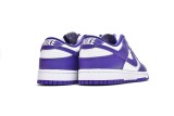 Nike Dunk Low Retro Court Purple DD1391-104