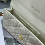 Dior Caro