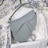 DIOR Saddle
