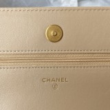  CHANEL    Cross-Body Bags