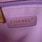  CHANEL cf mini