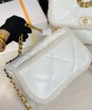 2021 Chane1 Fall/Winter 19Bag