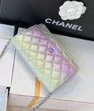 Chane Chameleon WOC Chain Bag
