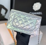 Chameleon WOC Chain Bag