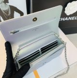 Chameleon WOC Chain Bag
