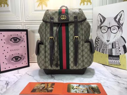 Ophidia series medium GG backpack