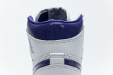 DG  Air Jordan 1 Court Purple  CD0461-151