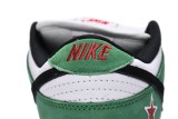 Nike Dunk SB Low HeineKen    304292-302