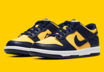 Nike Dunk Low Pro (GS) Varsiry Maize  CW1590-700