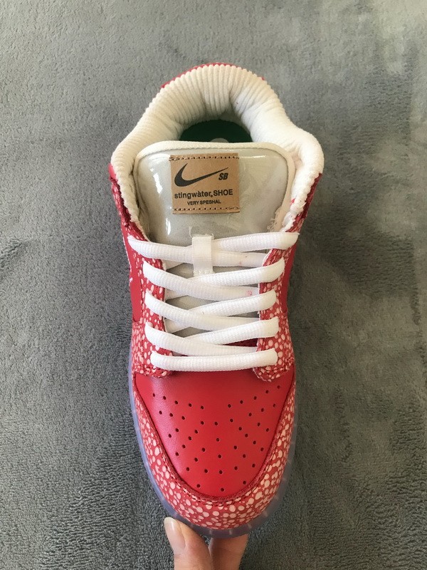 nike sb x stingwater dunk low og shoes