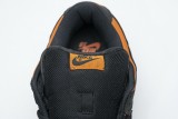 Nike SB Dunk Low Pro “Orange Flash”  304292-801