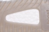 DG adidas Yeezy Boost 350 V2 Beluga Reflective GW1229