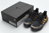 adidas Ultra Boost Black Gold  EG8102