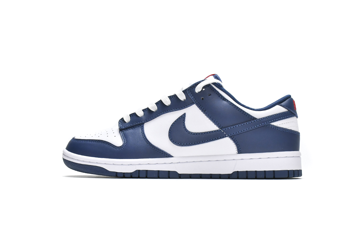 Nike Dunk Low Valerian Blue 28.5cmの+belloprint.com