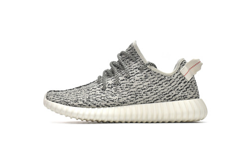 adidas originals Yeezy Boost 350 Turle Dove  AQ4832