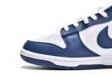 （USA only） Nike Dunk Low Valerian Blue  DD1391-400