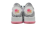 Jordan 3 Retro Wings  HM6993-100