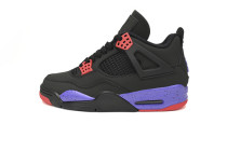 DG  Air Jordan 4 SE RapTors  AQ3816-056